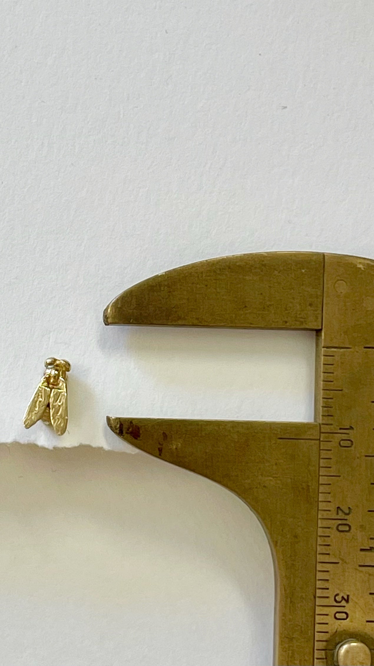 mini fly earring
