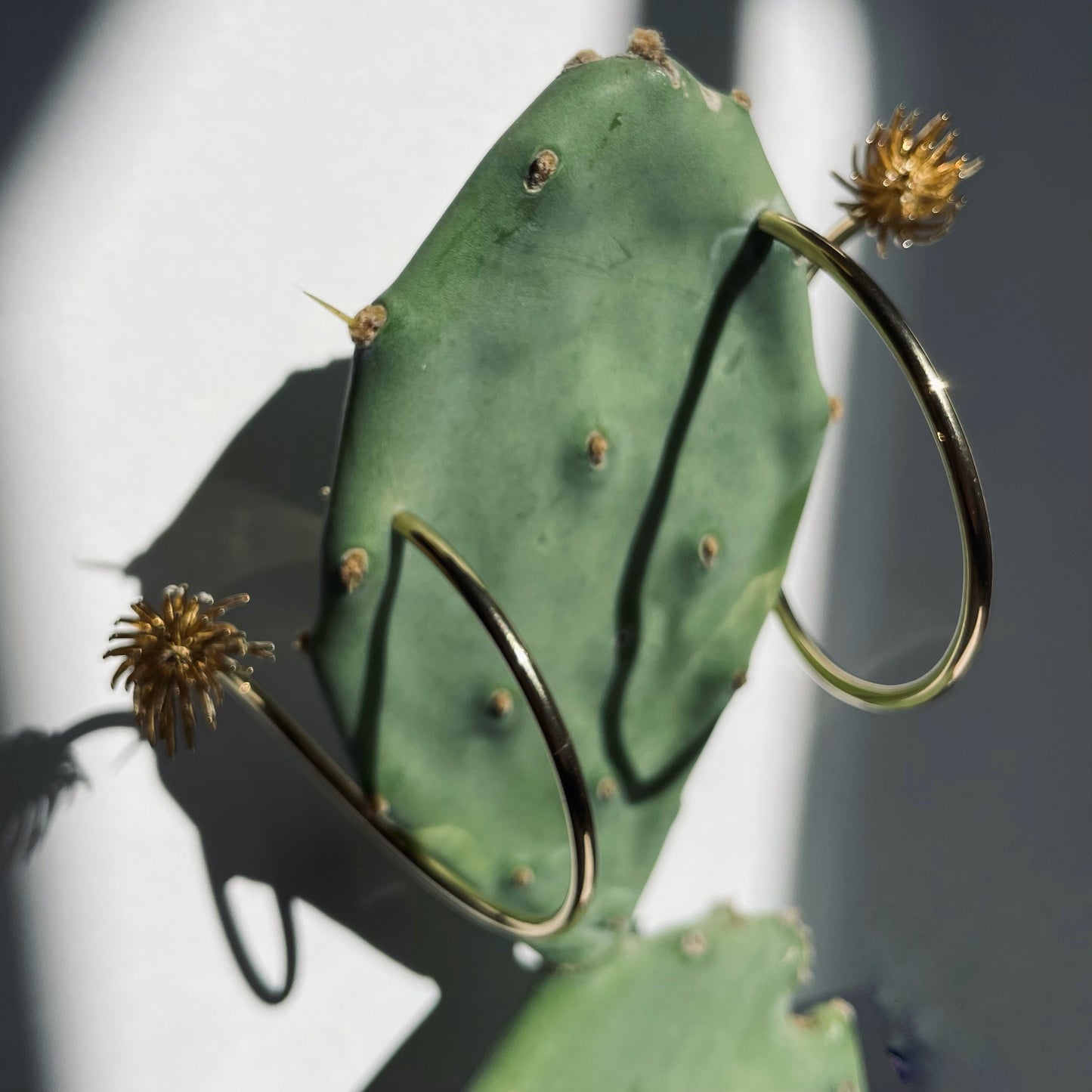 Hope Earrings