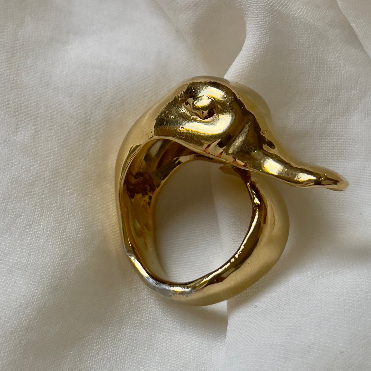 Anillo Duck