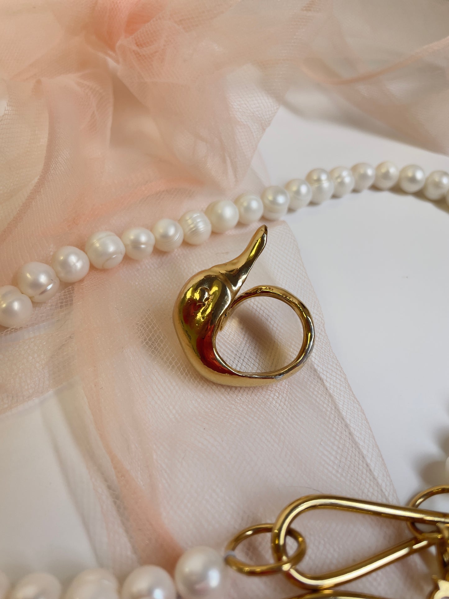 Anillo Duck