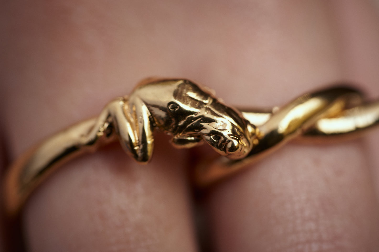 Prince double ring