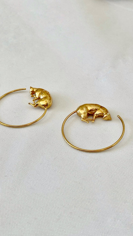 Pumpkin hoops