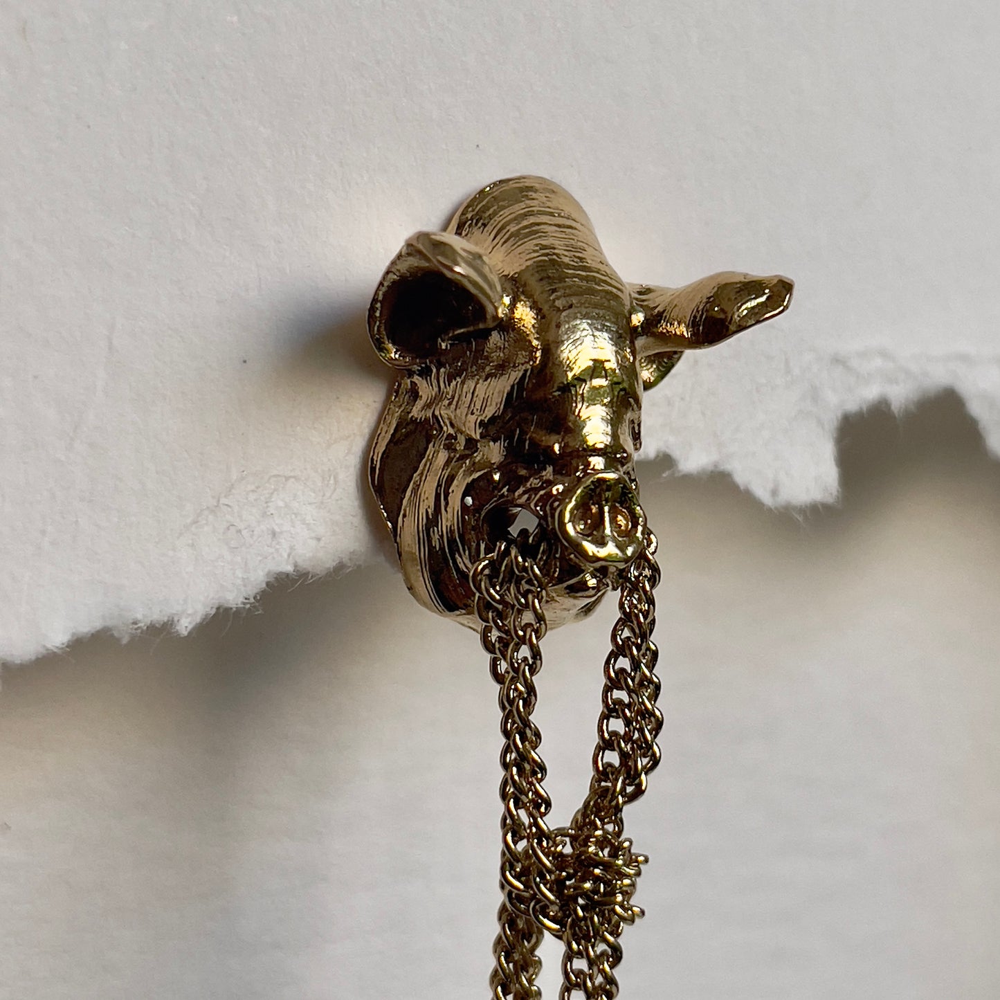 Pendientes Pig chain
