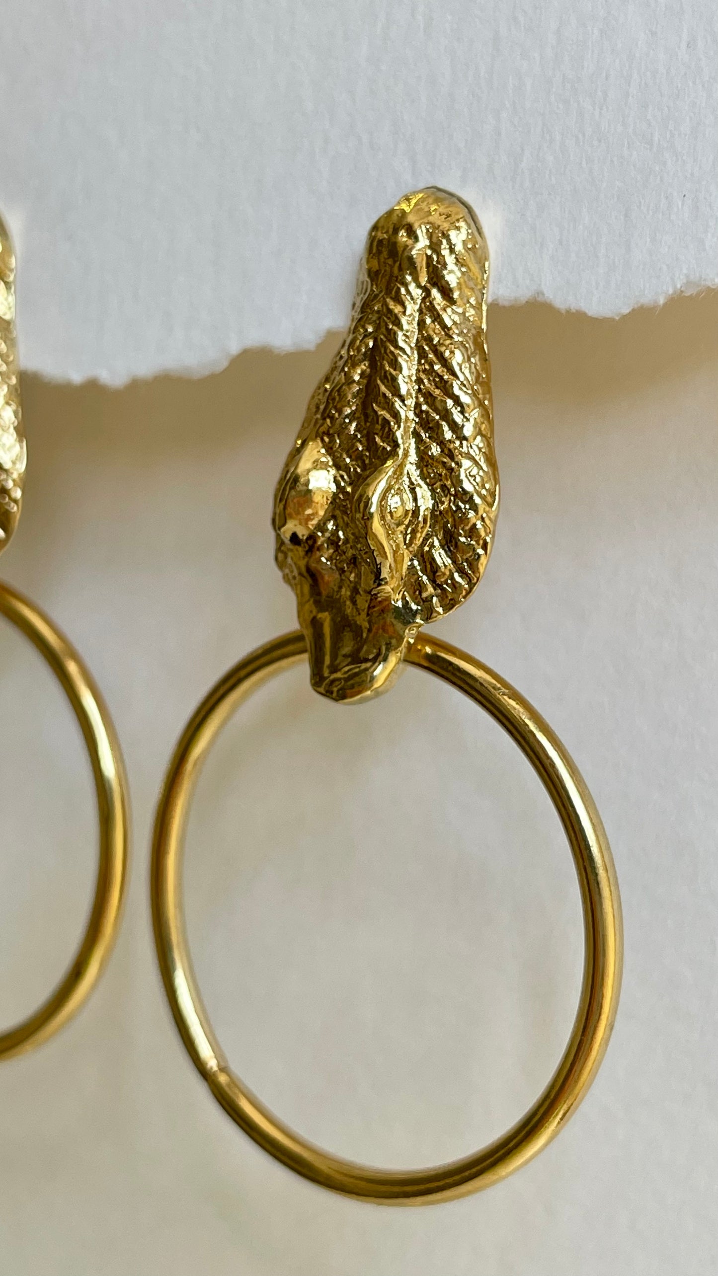 Pendientes cocodrilo